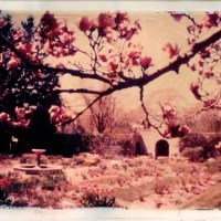 Spring Garden